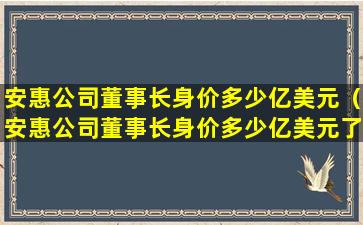 安惠公司董事长身价多少亿美元（安惠公司董事长身价多少亿美元了）