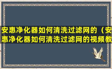 安惠净化器如何清洗过滤网的（安惠净化器如何清洗过滤网的视频教程）