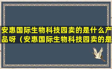 安惠国际生物科技园卖的是什么产品呀（安惠国际生物科技园卖的是什么产品呀知乎）