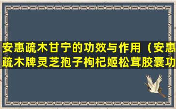 安惠疏木甘宁的功效与作用（安惠疏木牌灵芝孢子枸杞姬松茸胶囊功效）