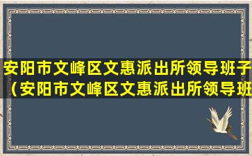 安阳市文峰区文惠派出所领导班子（安阳市文峰区文惠派出所领导班子成员）