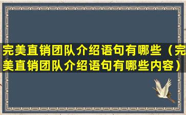 完美直销团队介绍语句有哪些（完美直销团队介绍语句有哪些内容）