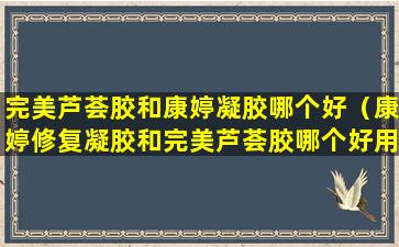 完美芦荟胶和康婷凝胶哪个好（康婷修复凝胶和完美芦荟胶哪个好用）