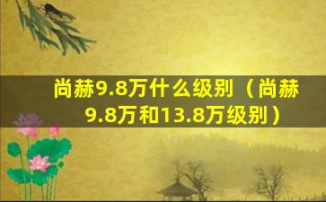 尚赫9.8万什么级别（尚赫9.8万和13.8万级别）