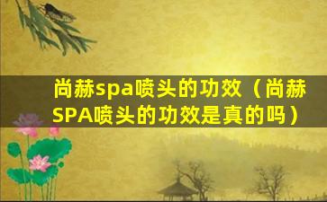 尚赫spa喷头的功效（尚赫SPA喷头的功效是真的吗）