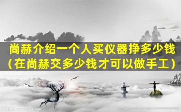 尚赫介绍一个人买仪器挣多少钱（在尚赫交多少钱才可以做手工）