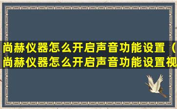 尚赫仪器怎么开启声音功能设置（尚赫仪器怎么开启声音功能设置视频）