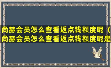 尚赫会员怎么查看返点钱额度呢（尚赫会员怎么查看返点钱额度呢是真的吗）