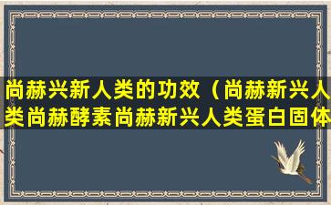 尚赫兴新人类的功效（尚赫新兴人类尚赫酵素尚赫新兴人类蛋白固体饮料）