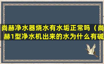 尚赫净水器烧水有水垢正常吗（尚赫1型净水机出来的水为什么有碱）