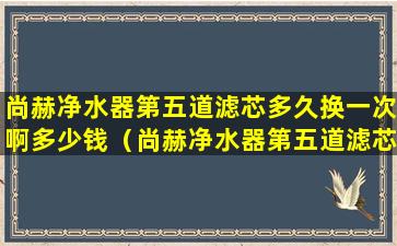 尚赫净水器第五道滤芯多久换一次啊多少钱（尚赫净水器第五道滤芯多久换一次啊多少钱啊）