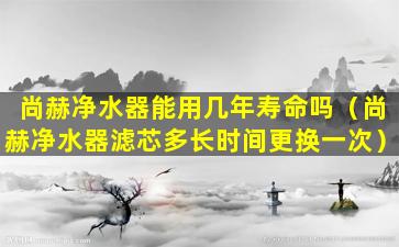 尚赫净水器能用几年寿命吗（尚赫净水器滤芯多长时间更换一次）