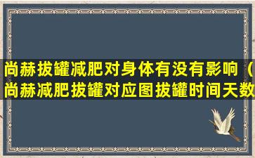 尚赫拔罐减肥对身体有没有影响（尚赫减肥拔罐对应图拔罐时间天数）