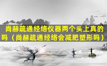 尚赫疏通经络仪器两个头上真的吗（尚赫疏通经络会减肥塑形吗）