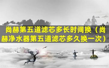 尚赫第五道滤芯多长时间换（尚赫净水器第五道滤芯多久换一次）