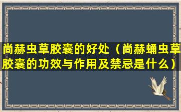 尚赫虫草胶囊的好处（尚赫蛹虫草胶囊的功效与作用及禁忌是什么）