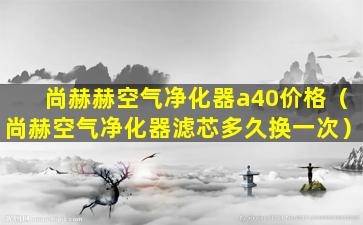 尚赫赫空气净化器a40价格（尚赫空气净化器滤芯多久换一次）