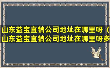 山东益宝直销公司地址在哪里呀（山东益宝直销公司地址在哪里呀多少钱）