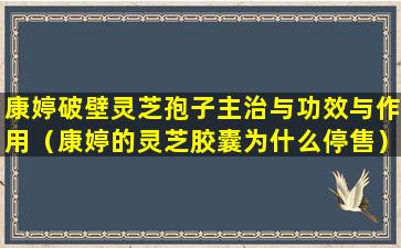 康婷破壁灵芝孢子主治与功效与作用（康婷的灵芝胶囊为什么停售）