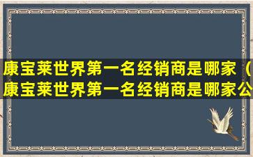 康宝莱世界第一名经销商是哪家（康宝莱世界第一名经销商是哪家公司）