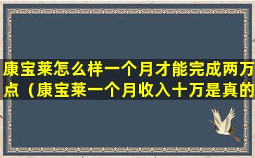 康宝莱怎么样一个月才能完成两万点（康宝莱一个月收入十万是真的吗）