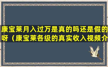 康宝莱月入过万是真的吗还是假的呀（康宝莱各级的真实收入视频介绍）