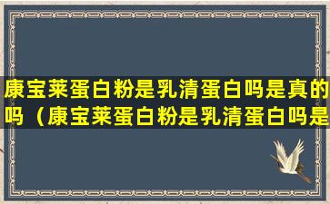 康宝莱蛋白粉是乳清蛋白吗是真的吗（康宝莱蛋白粉是乳清蛋白吗是真的吗还是假的）