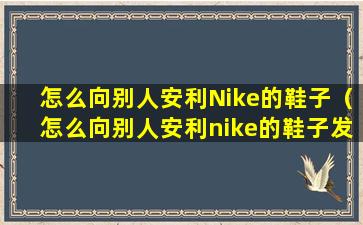 怎么向别人安利Nike的鞋子（怎么向别人安利nike的鞋子发货）