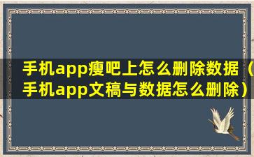 手机app瘦吧上怎么删除数据（手机app文稿与数据怎么删除）