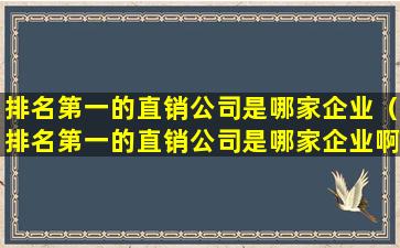 排名第一的直销公司是哪家企业（排名第一的直销公司是哪家企业啊）