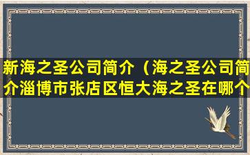 新海之圣公司简介（海之圣公司简介淄博市张店区恒大海之圣在哪个）