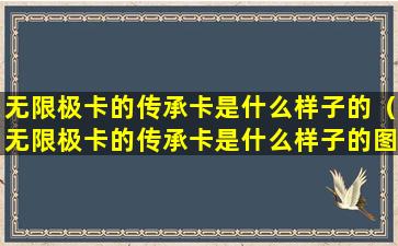 无限极卡的传承卡是什么样子的（无限极卡的传承卡是什么样子的图片）