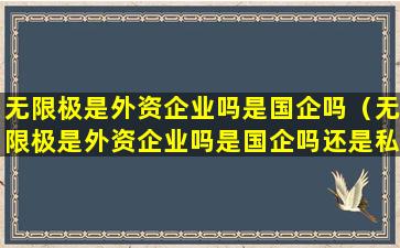 无限极是外资企业吗是国企吗（无限极是外资企业吗是国企吗还是私企）