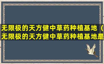 无限极的天方健中草药种植基地（无限极的天方健中草药种植基地是什么时候成立的）