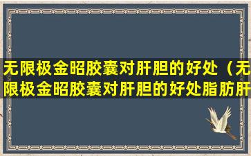 无限极金昭胶囊对肝胆的好处（无限极金昭胶囊对肝胆的好处脂肪肝）