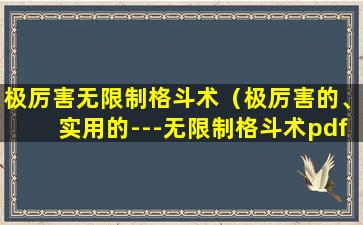 极厉害无限制格斗术（极厉害的、实用的---无限制格斗术pdf）