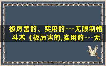 极厉害的、实用的---无限制格斗术（极厉害的,实用的---无限制格斗术）