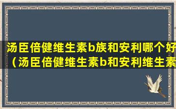 汤臣倍健维生素b族和安利哪个好（汤臣倍健维生素b和安利维生素b哪个好）