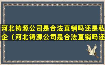 河北铸源公司是合法直销吗还是私企（河北铸源公司是合法直销吗还是私企啊）