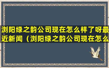 浏阳绿之韵公司现在怎么样了呀最近新闻（浏阳绿之韵公司现在怎么样了呀最近新闻发布会）