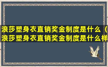 浪莎塑身衣直销奖金制度是什么（浪莎塑身衣直销奖金制度是什么样的）