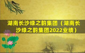 湖南长沙绿之韵集团（湖南长沙绿之韵集团2022业绩）