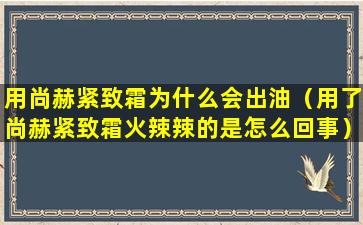 用尚赫紧致霜为什么会出油（用了尚赫紧致霜火辣辣的是怎么回事）