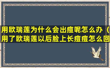 用欧瑞莲为什么会出痘呢怎么办（用了欧瑞莲以后脸上长痘痘怎么回事）