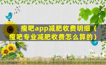 瘦吧app减肥收费明细（瘦吧专业减肥收费怎么算的）