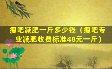 瘦吧减肥一斤多少钱（瘦吧专业减肥收费标准48元一斤）