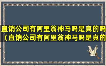 直销公司有阿里翁神马吗是真的吗（直销公司有阿里翁神马吗是真的吗还是假的）