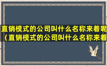 直销模式的公司叫什么名称来着呢（直销模式的公司叫什么名称来着呢英文）