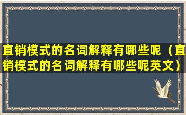 直销模式的名词解释有哪些呢（直销模式的名词解释有哪些呢英文）