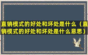 直销模式的好处和坏处是什么（直销模式的好处和坏处是什么意思）